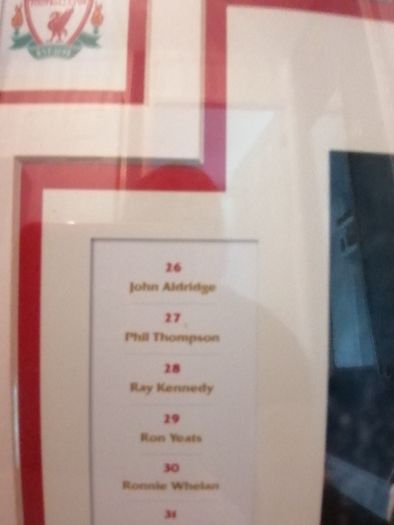 Liverpool framed picture