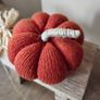 Pumpkin Image 2