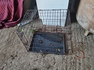 Animal Crate
