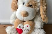 True Love gift teddy, new with tag