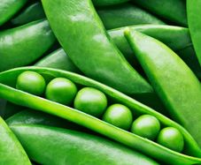 (P) Garden Pea Vada seeds 20g (124619)