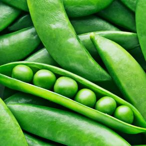 (P) Garden Pea Vada seeds 20g (124619)