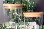 Set of 2 Glass Storage Jars with Bamboo Lids
