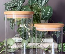 Set of 2 Glass Storage Jars with Bamboo Lids