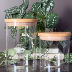 Set of 2 Glass Storage Jars with Bamboo Lids