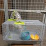 Hamster cage Image 2