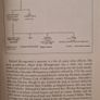 Dublin Historical Record. Vol Liv. No 2.autumn 2001. Paperback In Good Condition. 34. Image 10
