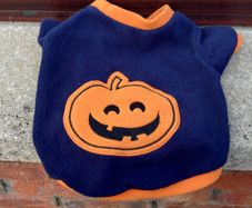Babies Halloween Short Sleeved Top (nice Condition  & Washed).