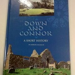 Down and Connor a short history Ireland Counties Antrim and Down
