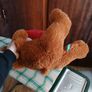Brand new teddy bear with hearts Image 4