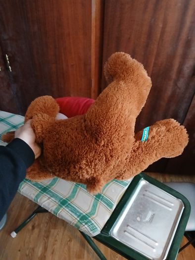Brand new teddy bear with hearts