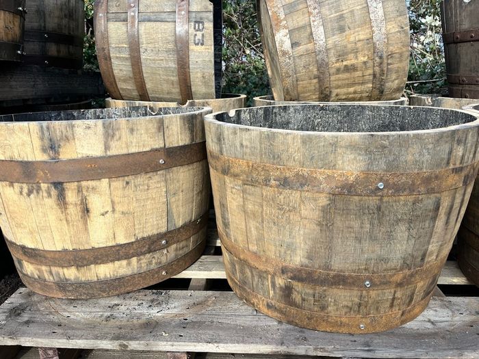 oak barrel planters
