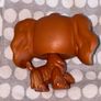 littlest pet shop (LPS) Cocker spaniel #252 Image 2