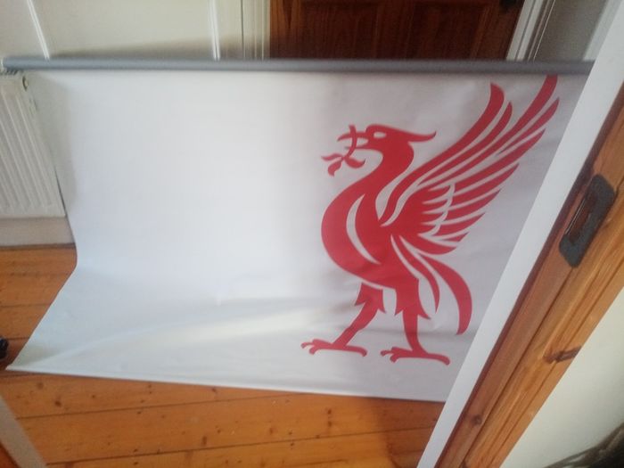 window blind