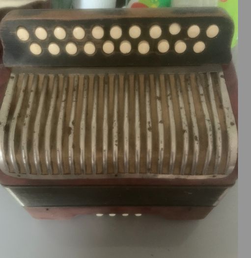 Hohner Accordion