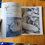 Good Faeries Bad Faeries. By Brian Fraud. First Edition Large Volume Paperback In Good Condition.  See Photos For Same. Image 10