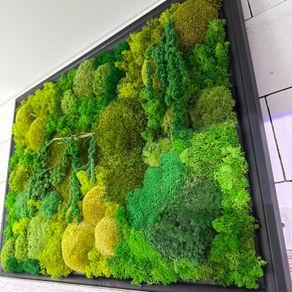 Wall decor 55x77cm natural moss