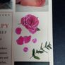 Aromatherapy Image 3
