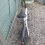 bike Image 5