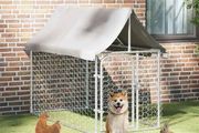 Outdoor Dog Kennel with Roof 200x100x150 cm