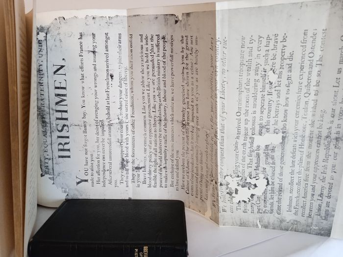 The Last Invasion of Ireland: When Connacht Rose by Richard Hayes (PT86)