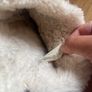 ugg slippers Image 4