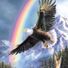 eagle11