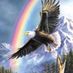 eagle11