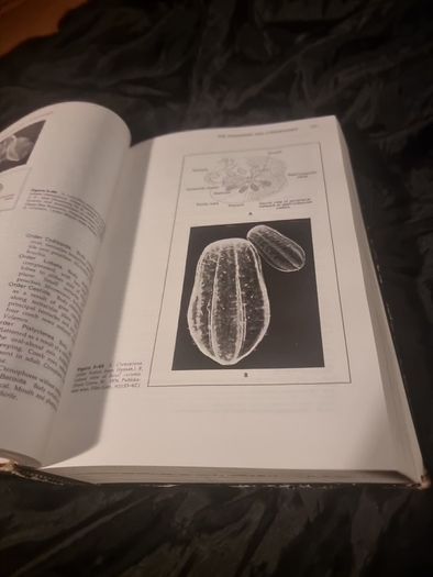 Invertibrate Zoology . 4th edition(Hardcover Illustrated Boards)