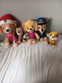 Skye - chase - small rubble and Liberty from Paw Patrol.