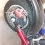 Scooter Image 2
