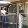 Equine Hydrotherapy Spa Image 4