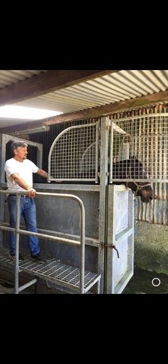 Equine Hydrotherapy Spa