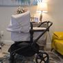 !!! Latest Bugaboo Fox 5 model Renew!! Bugaboo Fox 5 Renew Image 10