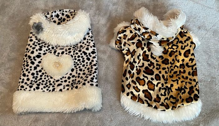 Small dog/puppy coats