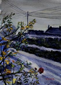 autumn's last rose   watercolour