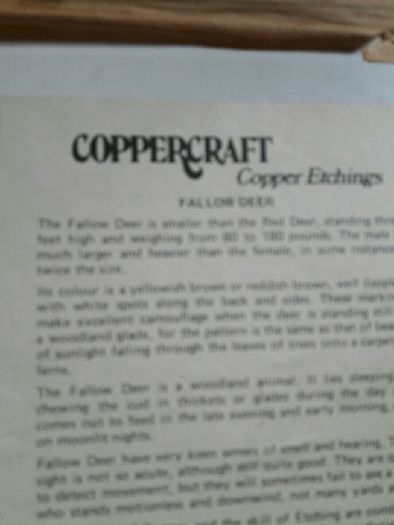 Coppercraft