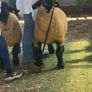 Suffolk Rams Image 8