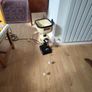 Table Tennis Robot Image 7