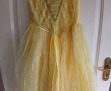 Disney princess dress