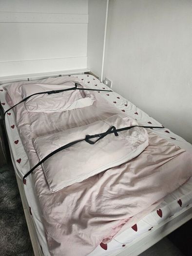 Murphy/Wall bed