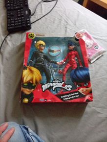 Ladybug&Cat Noir