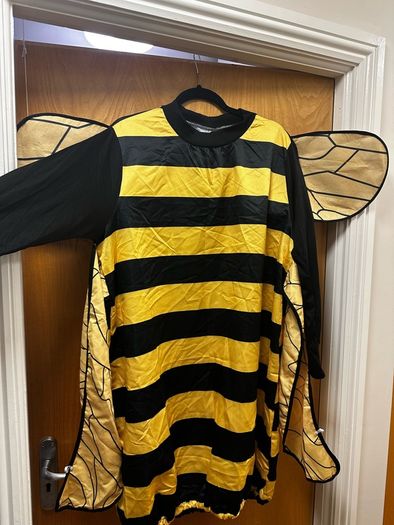 Bee fancy dress costume size 2XL about size 18