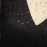 Black Gold Sparkle Mesh Sleeve Midi Dress Evening Party Occasion Glam Image 2