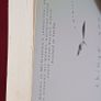 John MacKenna / Things You Should Know/ 1st edition 2006/ with dedication from author Image 3