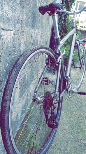 Giant mountain bike