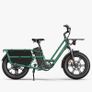FIIDO T2 Longtail Cargo Electric Bike Image 2