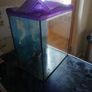 Goldfish tank Image 2