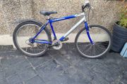 bike needs fixing