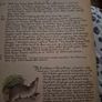 Vintage The Country Diary of an Edwardian Lady Image 4